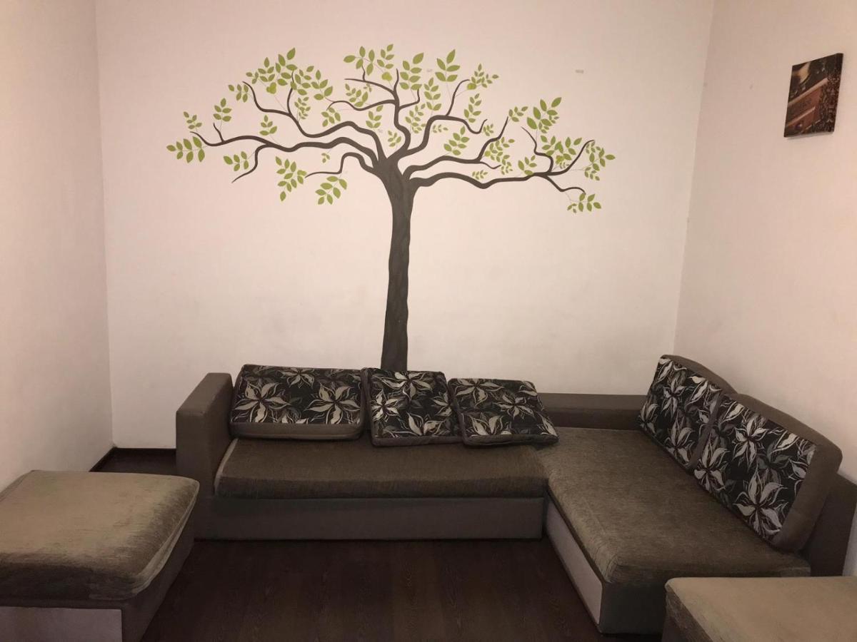 בראשוב Limon Studios מראה חיצוני תמונה