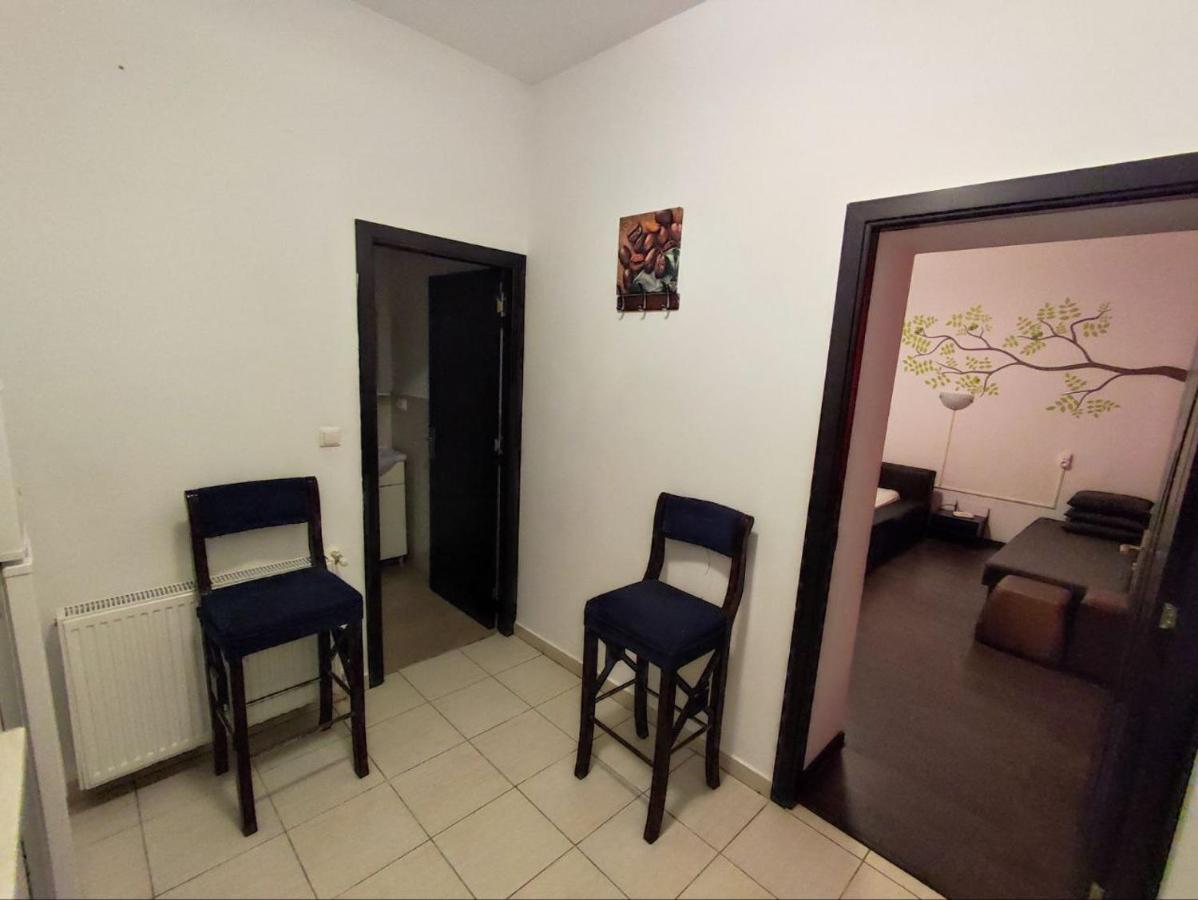 בראשוב Limon Studios מראה חיצוני תמונה